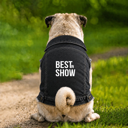 Dog Denim Jacket – Best in Show - Black - Garment preview