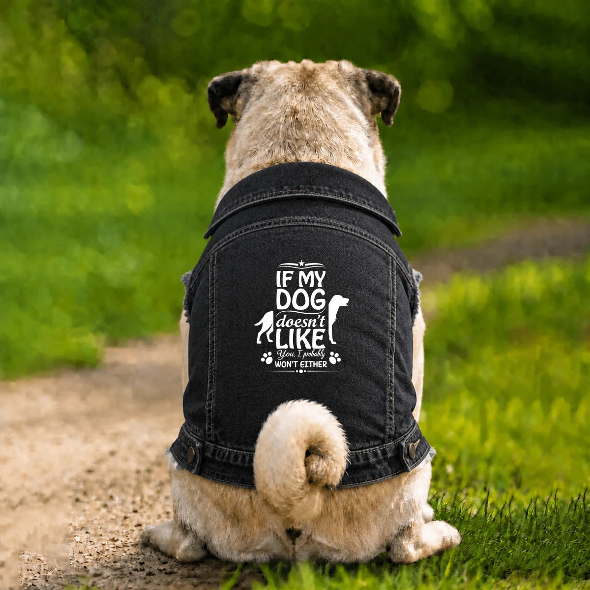 Dog Denim Jacket – If My Dog Doesn’t Like You - Black - Garment preview