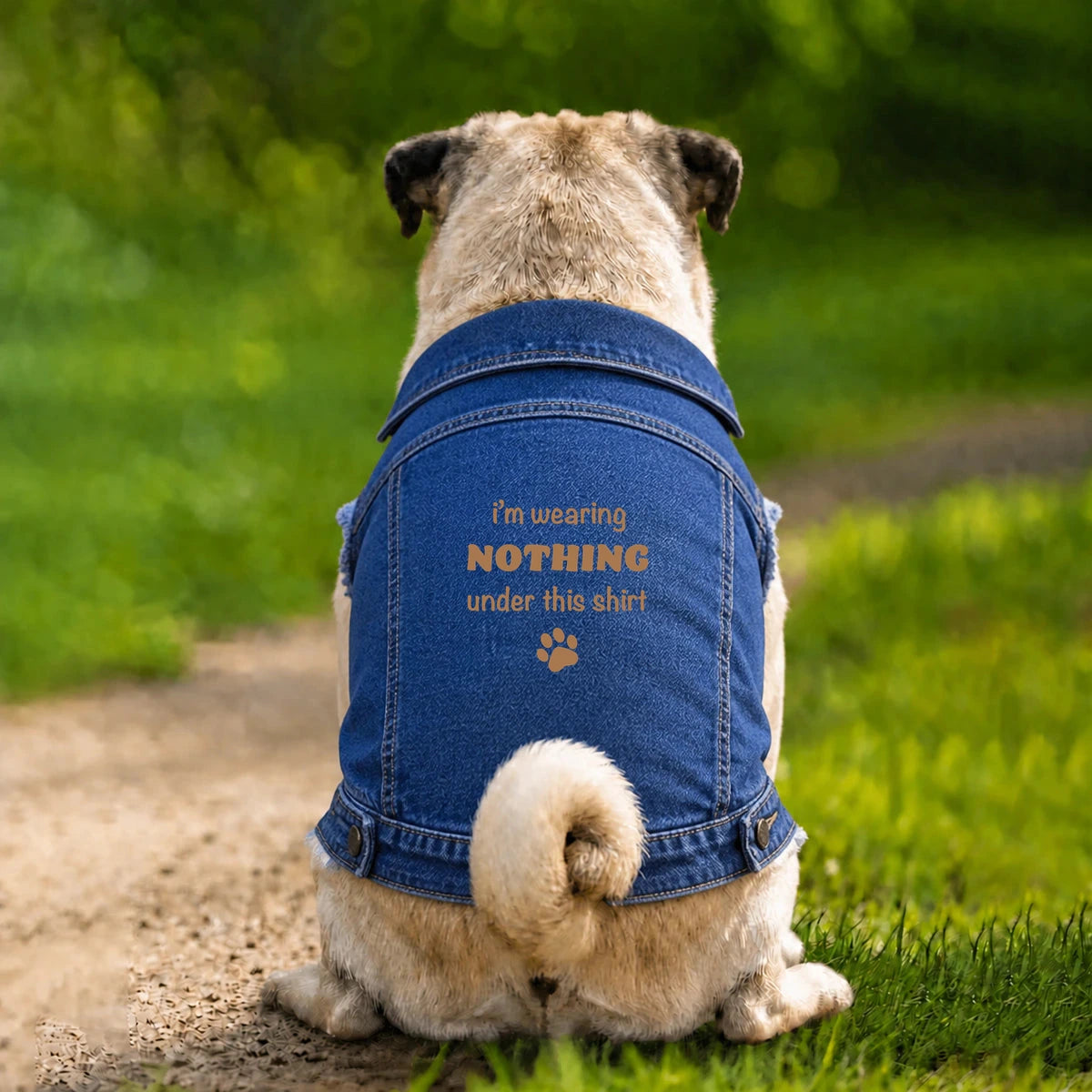 Dog Denim Jacket – I’m Wearing Nothing Under This Shirt - Indigo - Garment preview