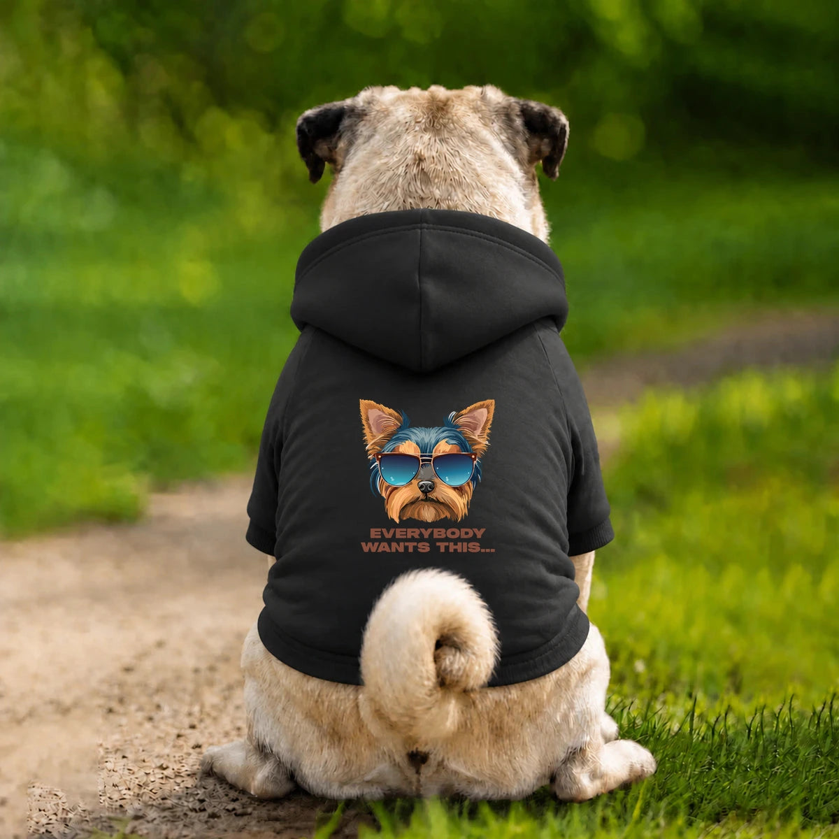 Dog Hoodie – Everybody Wants This - Black - Garment preview