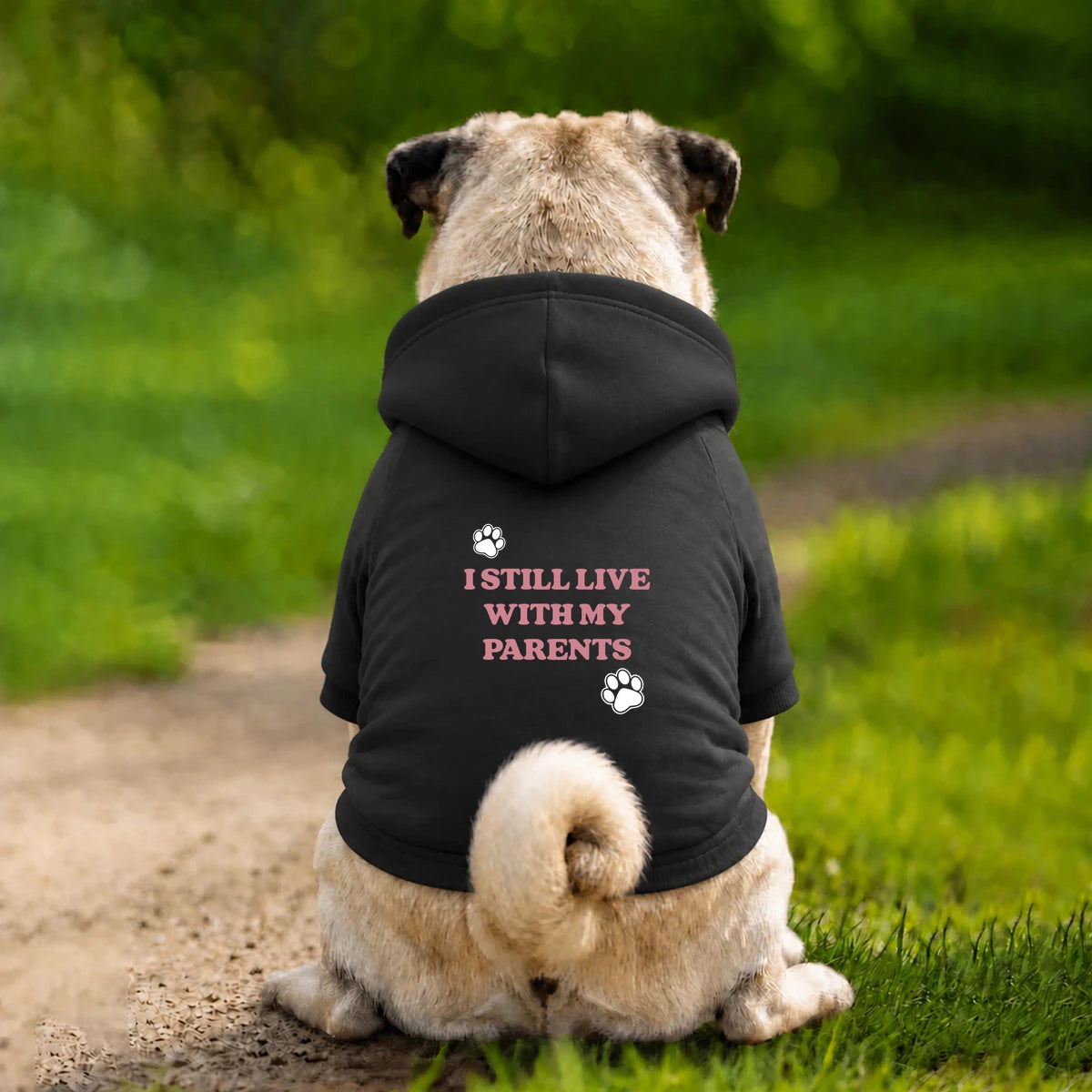Dog Hoodie – I Still Live With My Parents - Black - Garment preview