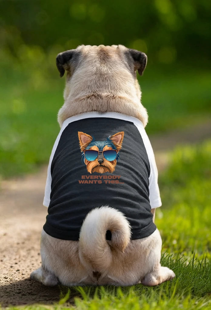 Dog T-Shirt – Everybody Wants This - Black/White - Garment preview