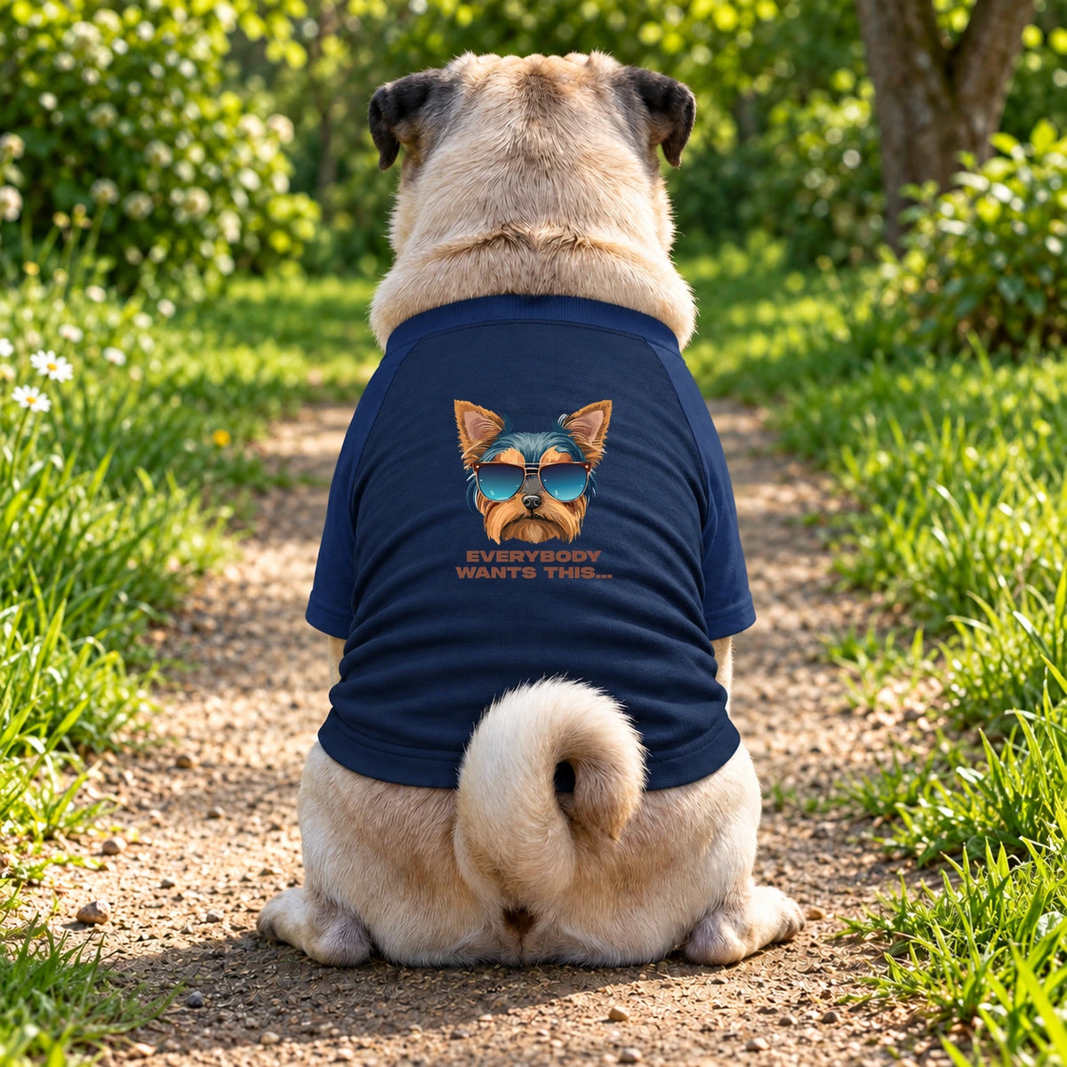Dog T-Shirt – Everybody Wants This - Navy - Garment preview