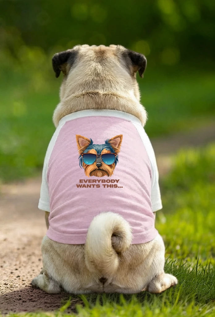 Dog T-Shirt – Everybody Wants This - Pink/White - Garment preview