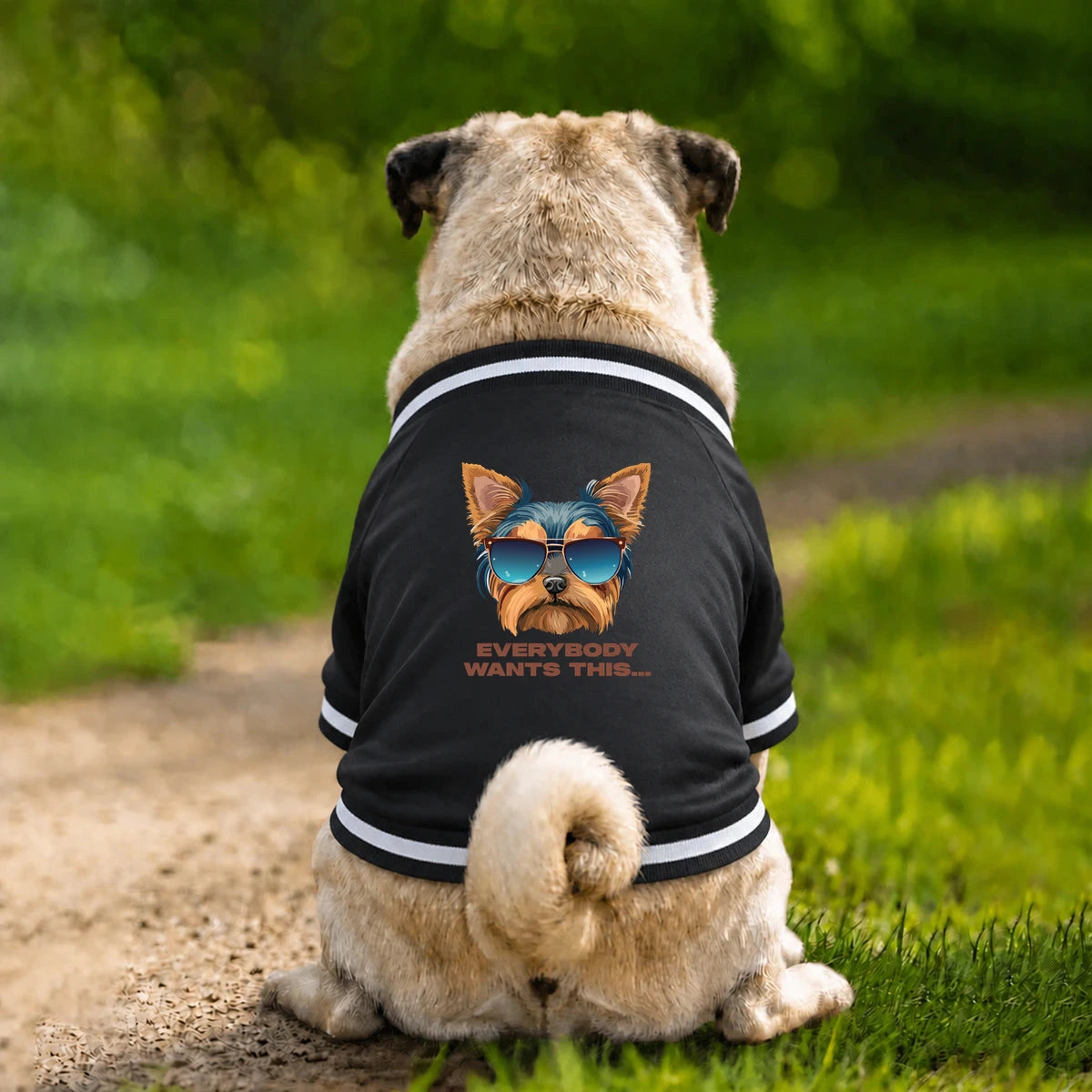 Dog Varsity Jacket – Everybody Wants This - Black - Garment preview