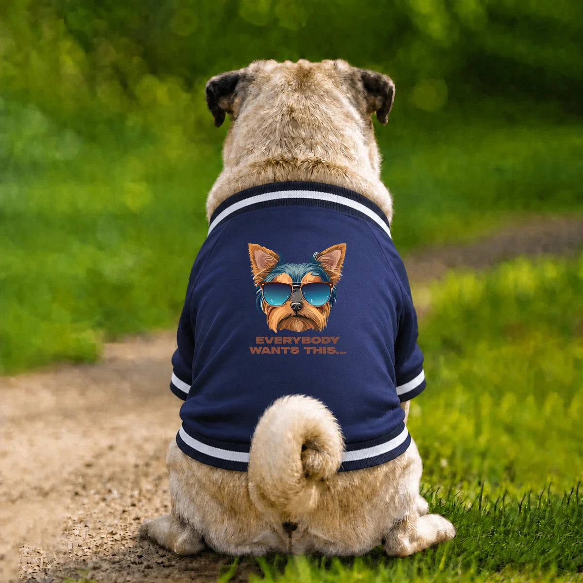 Dog Varsity Jacket – Everybody Wants This - Navy - Garment preview
