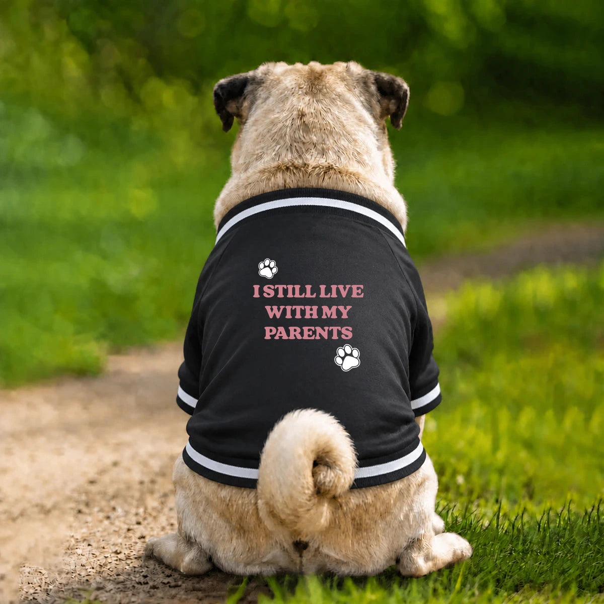 Dog Varsity Jacket – I Still Live With My Parents - Black - Garment preview