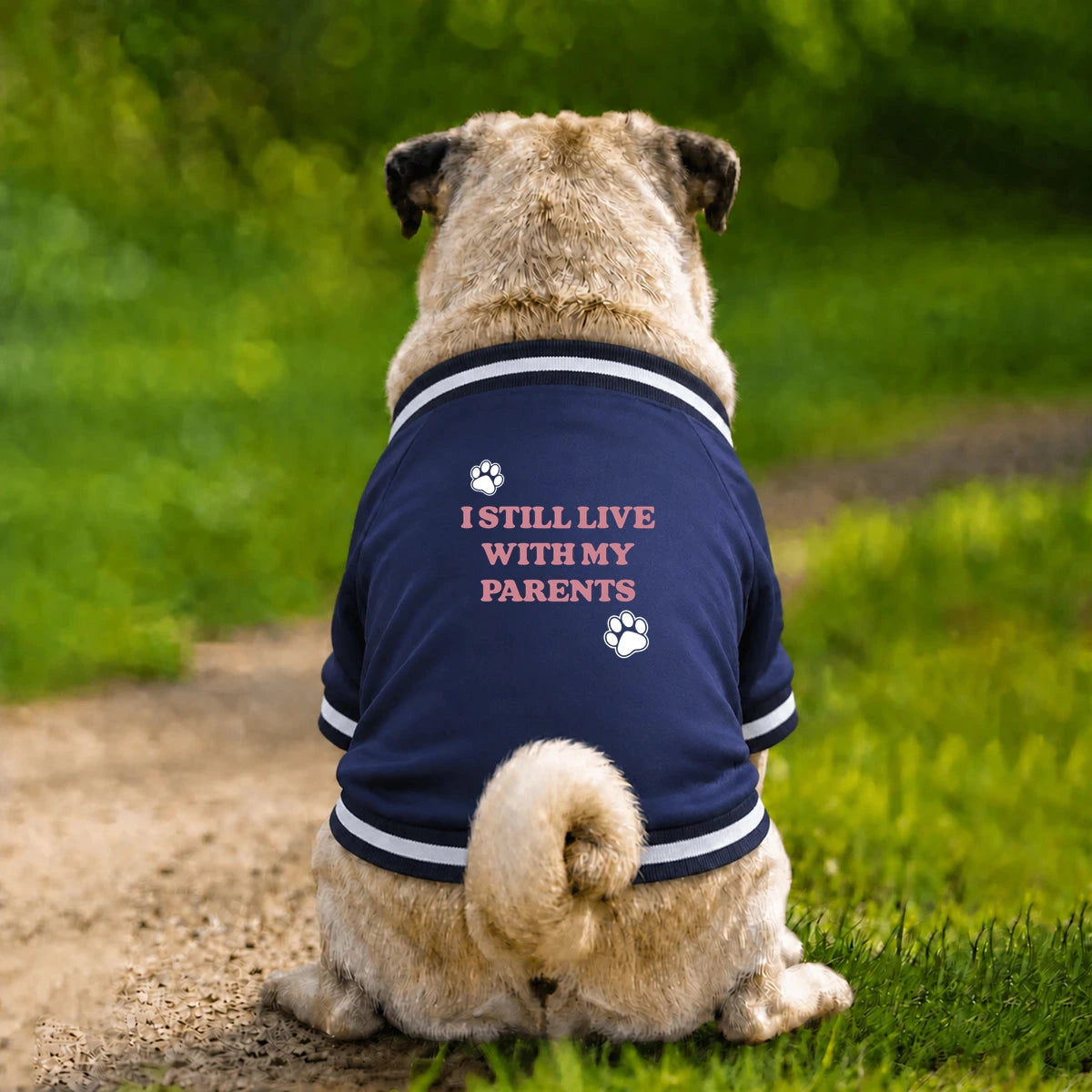Dog Varsity Jacket – I Still Live With My Parents - Navy - Garment preview