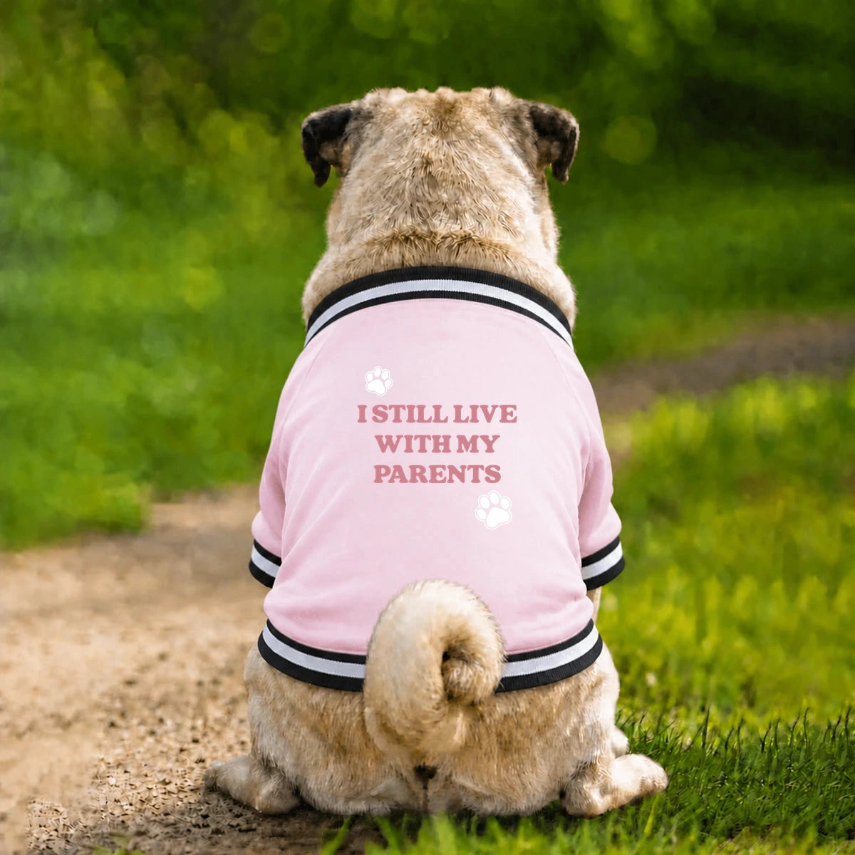Dog Varsity Jacket – I Still Live With My Parents - Pink - Garment preview