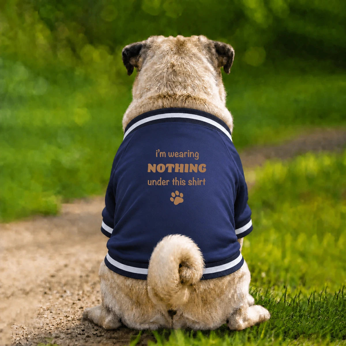 Dog Varsity Jacket – I’m Wearing Nothing Under This Shirt - Navy - Garment preview