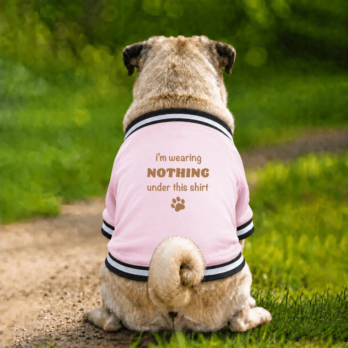 Dog Varsity Jacket – I’m Wearing Nothing Under This Shirt - Pink - Garment preview