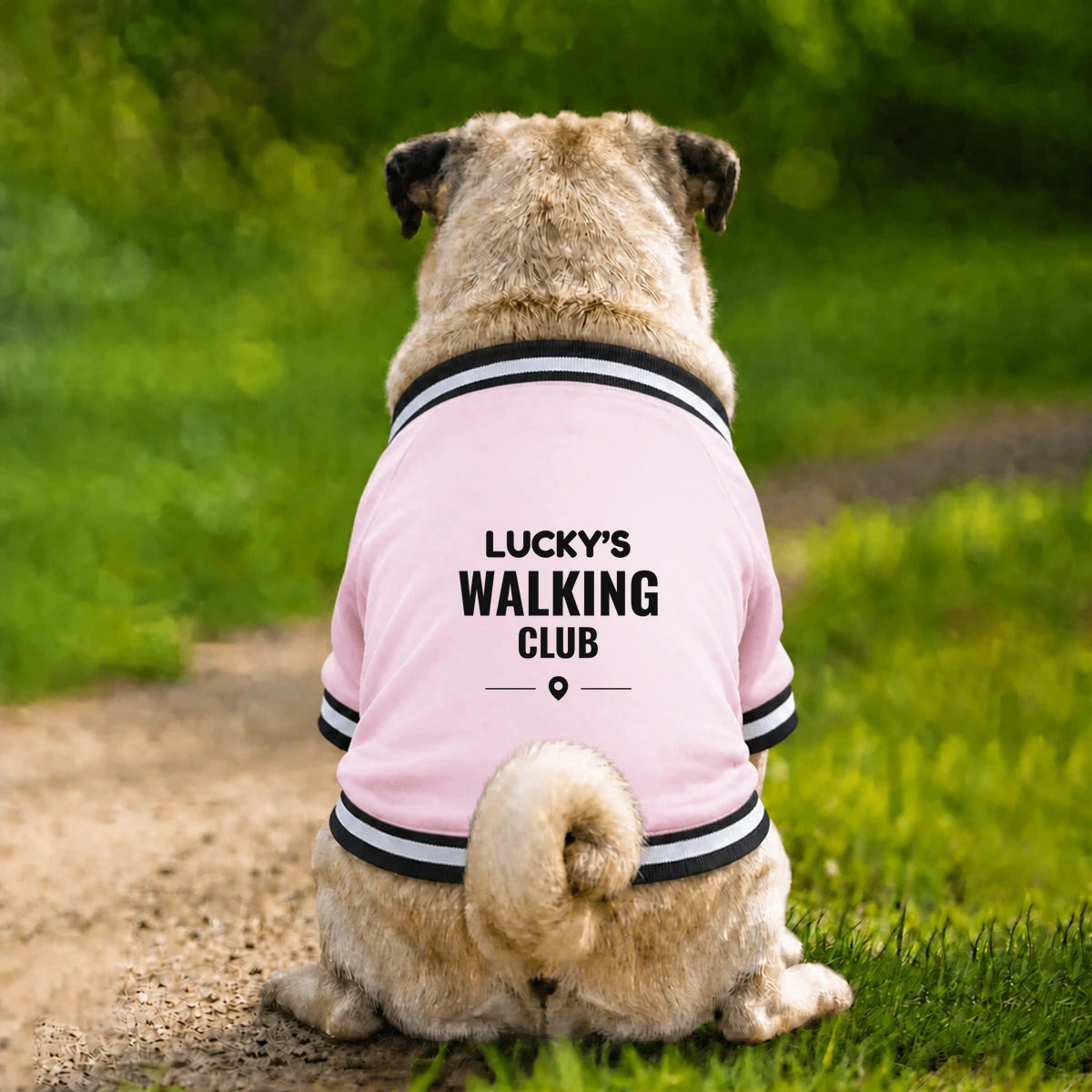 Personalised Dog Name Walking Club Varsity Jacket - Pink - Garment preview