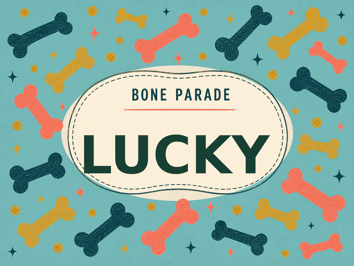 Personalised Dog Blanket – Bone Parade - Coastal Teal - Finished artwork