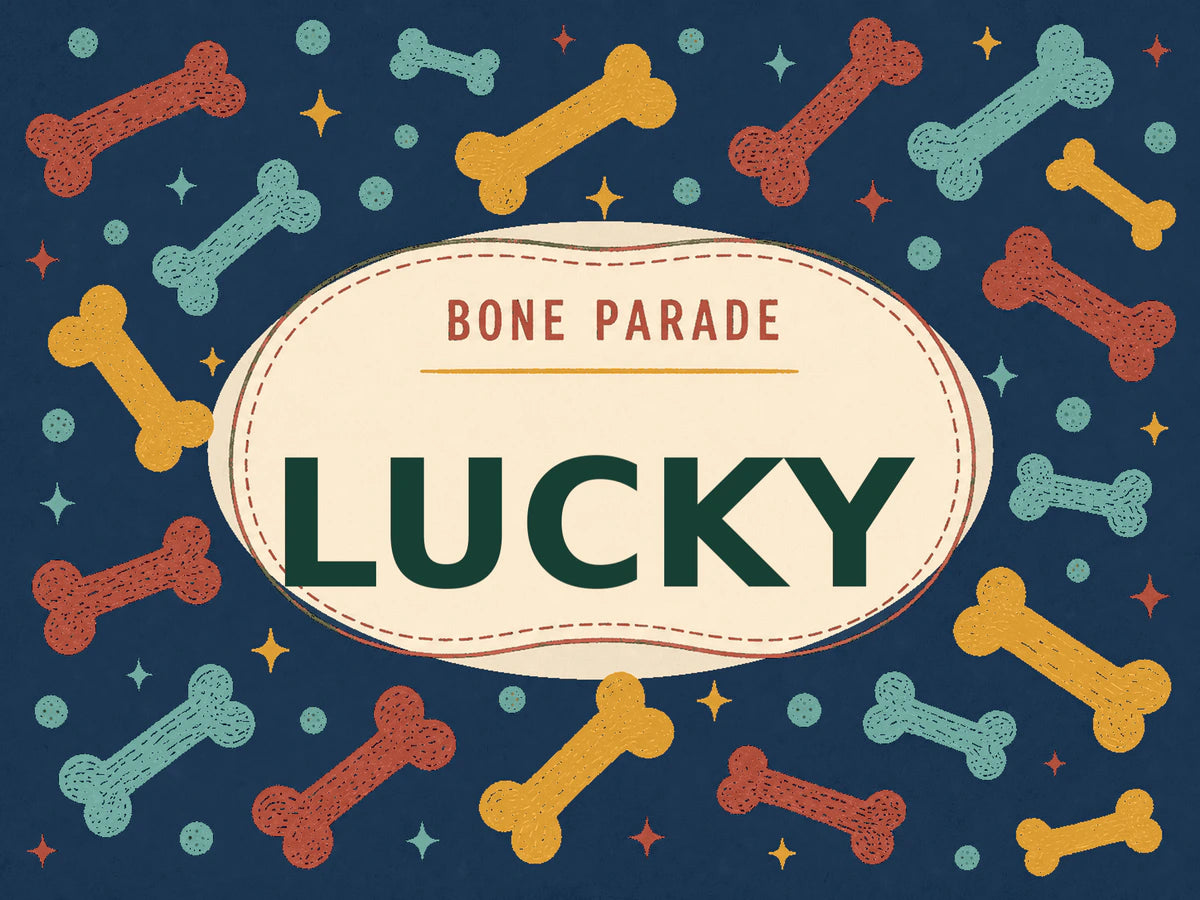 Personalised Dog Blanket – Bone Parade - Deep Navy - Finished artwork