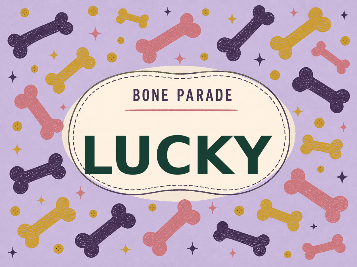 Personalised Dog Blanket – Bone Parade - Soft Lilac - Finished artwork