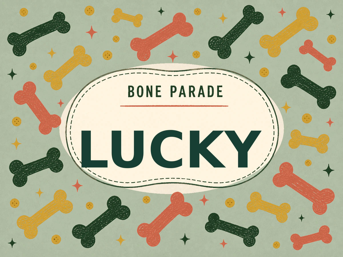 Personalised Dog Blanket – Bone Parade - Soft Sage - Finished artwork