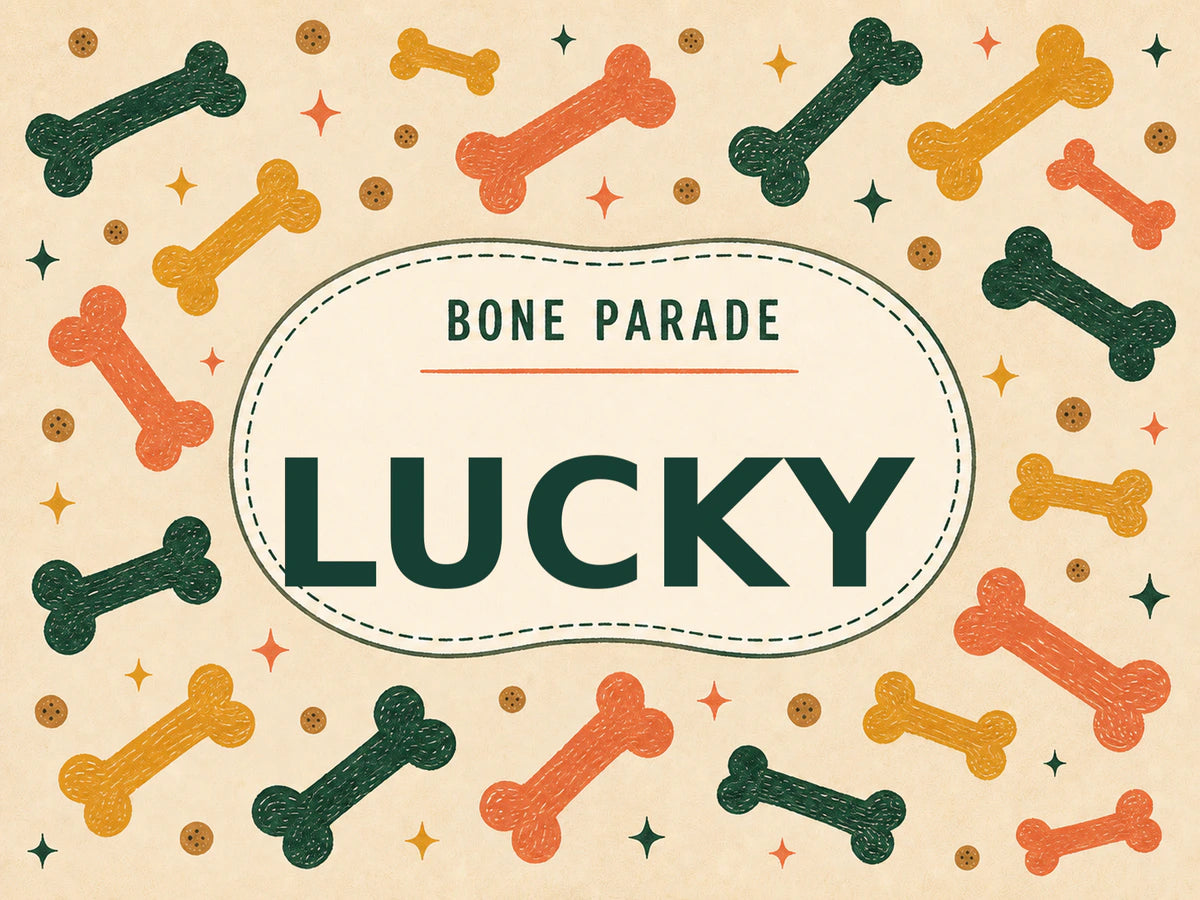 Personalised Dog Blanket – Bone Parade - Warm Oatmeal - Finished artwork
