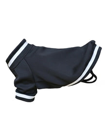 Lucky Pup Dog Varsity Jacket in Black — Lucky Pup dog clothing launch range
