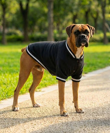 Lucky Pup Dog Varsity Jacket lifestyle image — Lucky Pup dog clothing launch range