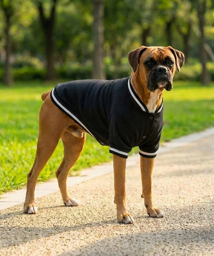 Lucky Pup dog varsity jacket for sporty everyday walks