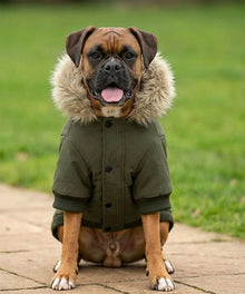 Lucky Pup Dog Parka Jacket lifestyle image — Lucky Pup dog clothing launch range