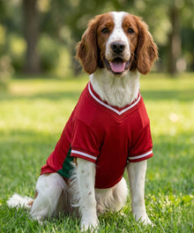 Lucky Pup dog football t-shirt lifestyle image