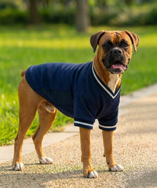 Lucky Pup dog football t-shirt lifestyle detail
