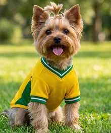 Dog football t-shirt fit and harness detail