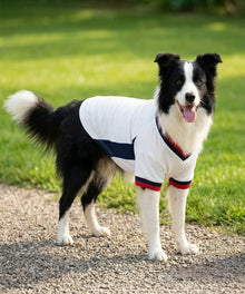 Dog football t-shirt match-day style