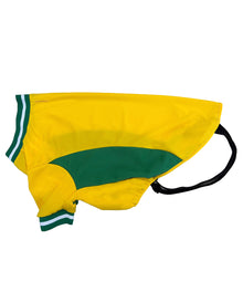 Lucky Pup Dog Football T-Shirt in Yellow/White/Green